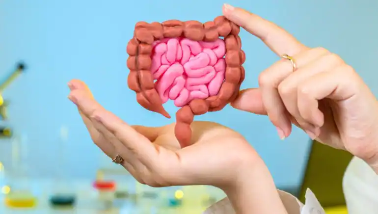 Salute del Colon e Microbioma Intestinale